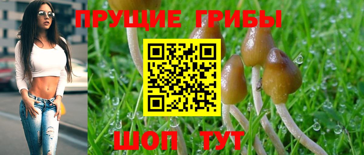 Псилоцибиновые грибы мухоморы  Псилоцибиновые грибы MAGIC MUSHROOMS  Богданович  Вход с VPN 