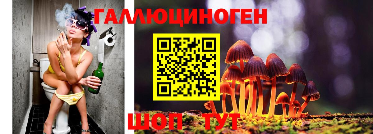 Псилоцибиновые грибы Psilocybe Богданович